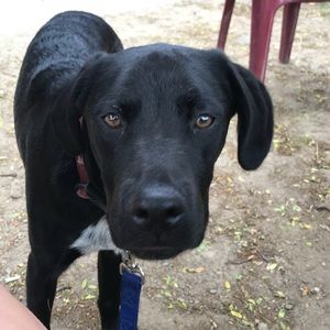 Meet your Posher, Whitney